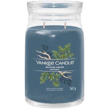 Bayside Cedar Signature Candle (pobrežný céder) - Vonná sviečka
